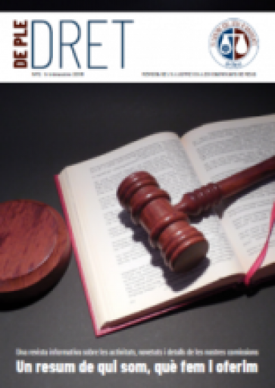 De Ple Dret número 2