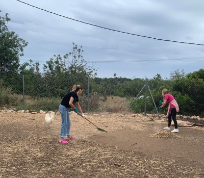 La Comissió per a la Defensa dels Drets dels Animals de l'ICAReus visita el Santuari MonLabassa