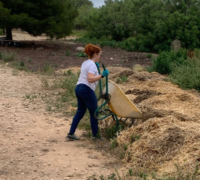 La Comissió per a la Defensa dels Drets dels Animals de l'ICAReus visita el Santuari MonLabassa